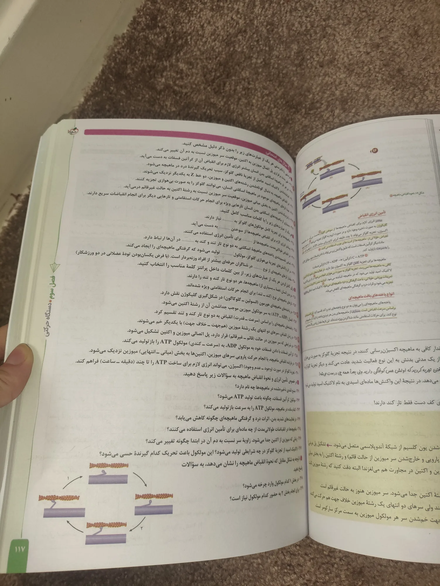 ماجرای بیست زیست یازدهم — تصویر 2