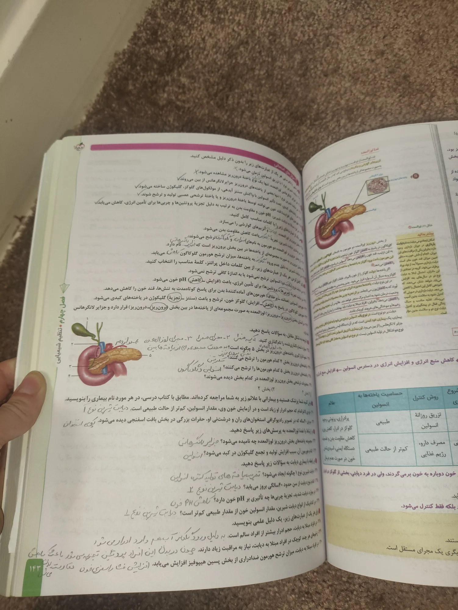 ماجرای بیست زیست یازدهم — تصویر 3