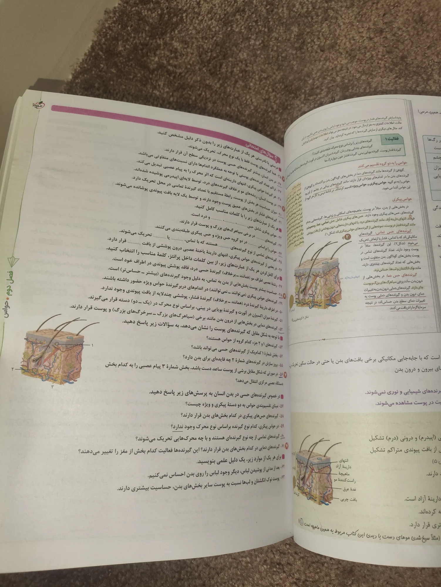 ماجرای بیست زیست یازدهم — تصویر 4