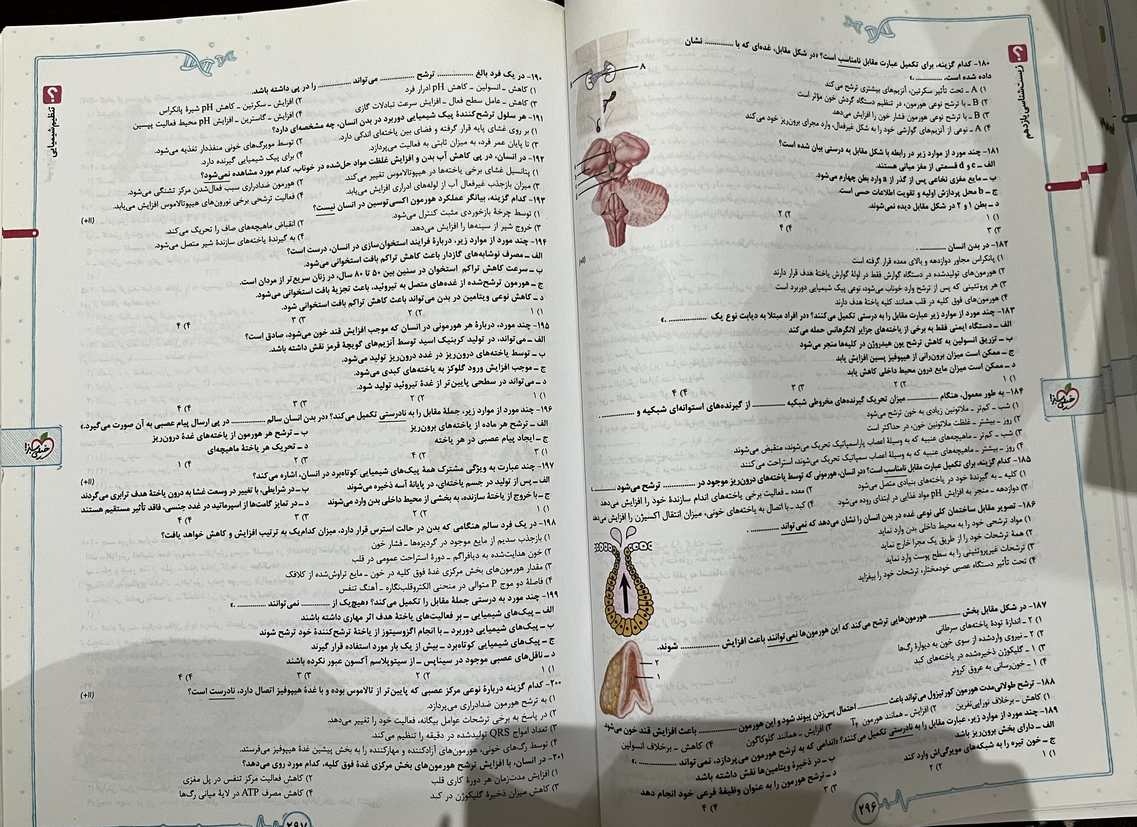 زیست‌شناسی یازدهم خیلی سبز — تصویر 2
