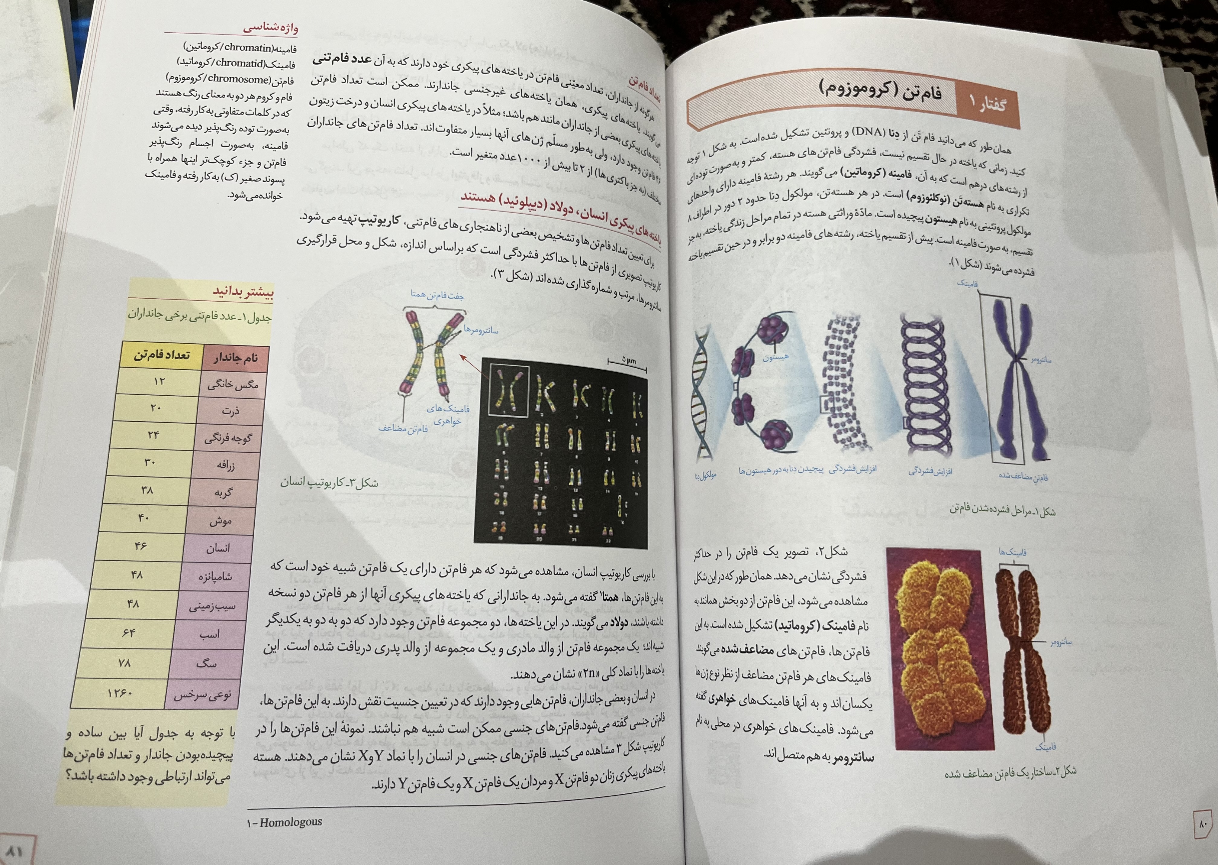 کتاب درسی زیست‌شناسی سه پایه — تصویر 2