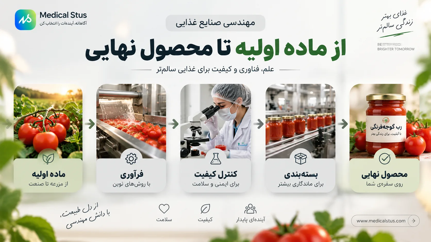 رشته مهندسی صنایع غذایی چیست؟