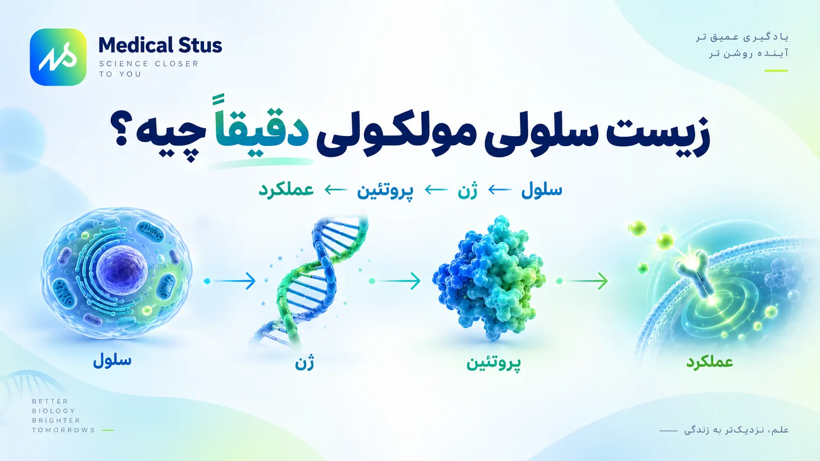 رشته زیست شناسی سلولی و مولکولی دقیقا چیه؟