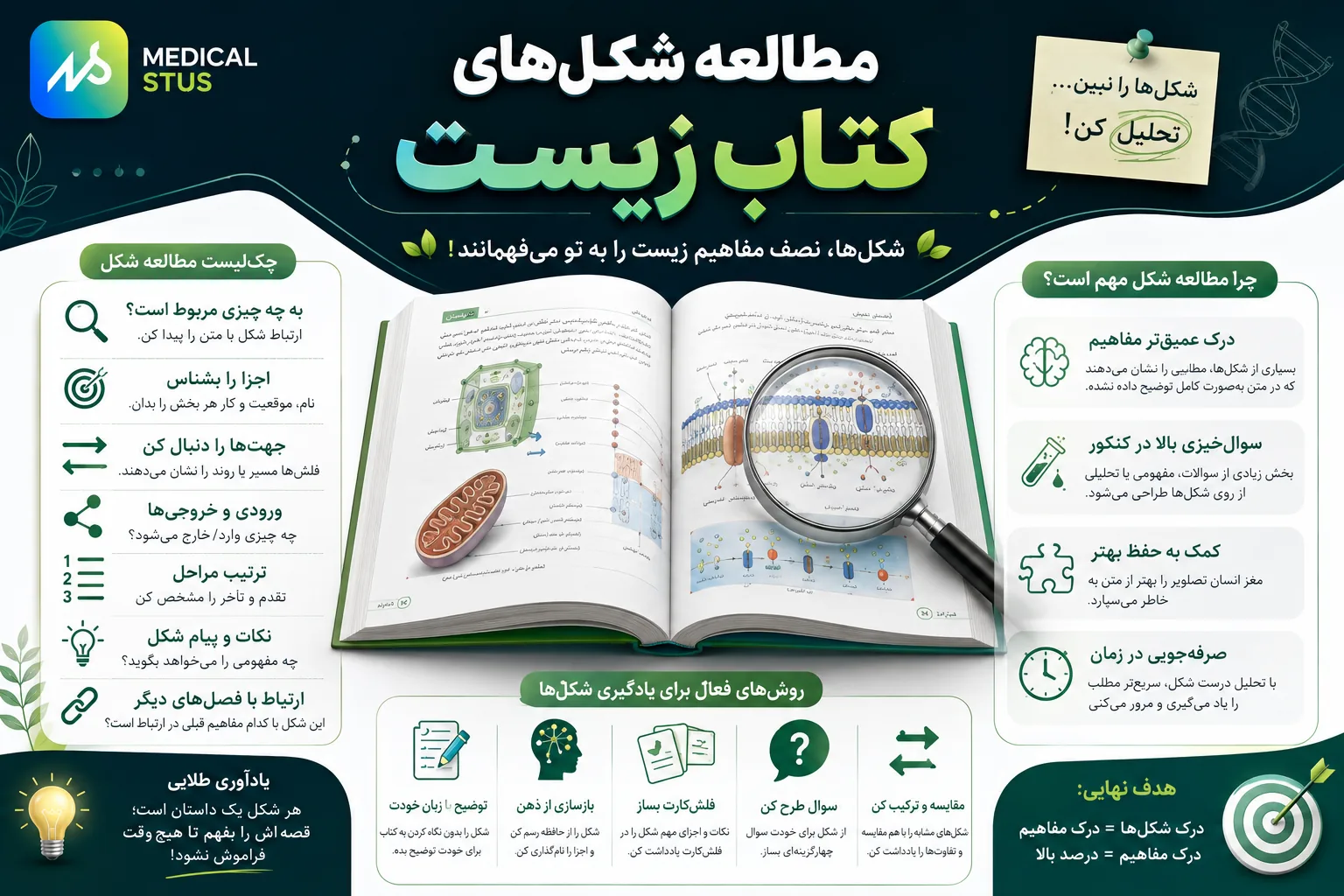 روش مطالعه شکل های کتاب زیست شناسی