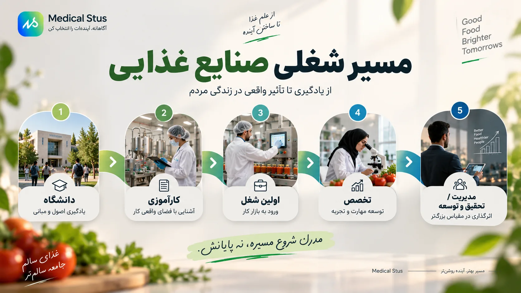مسیر شغلی رشته مهندسی صنایع غذایی 