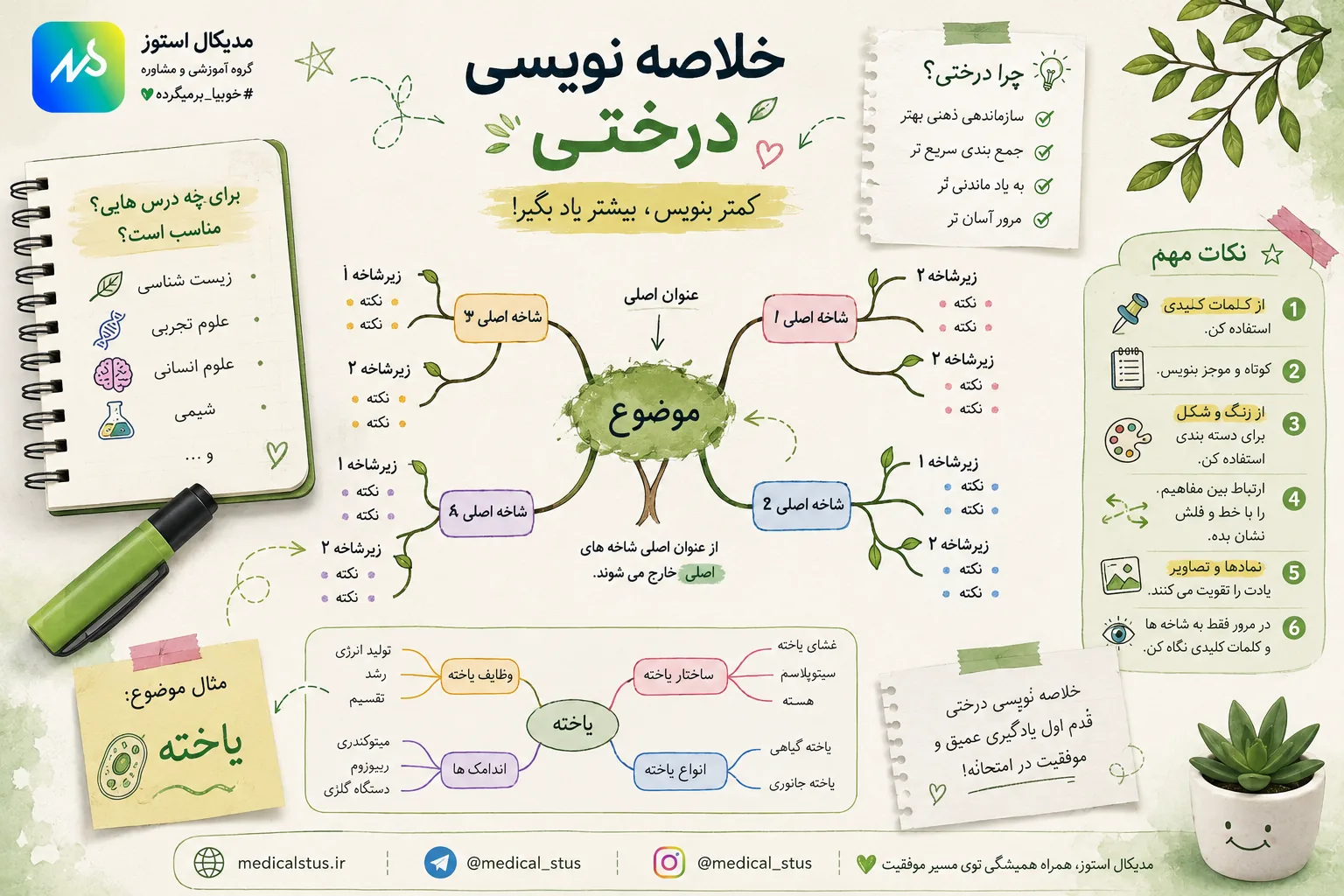 خلاصه نویسی درختی زیست شناسی