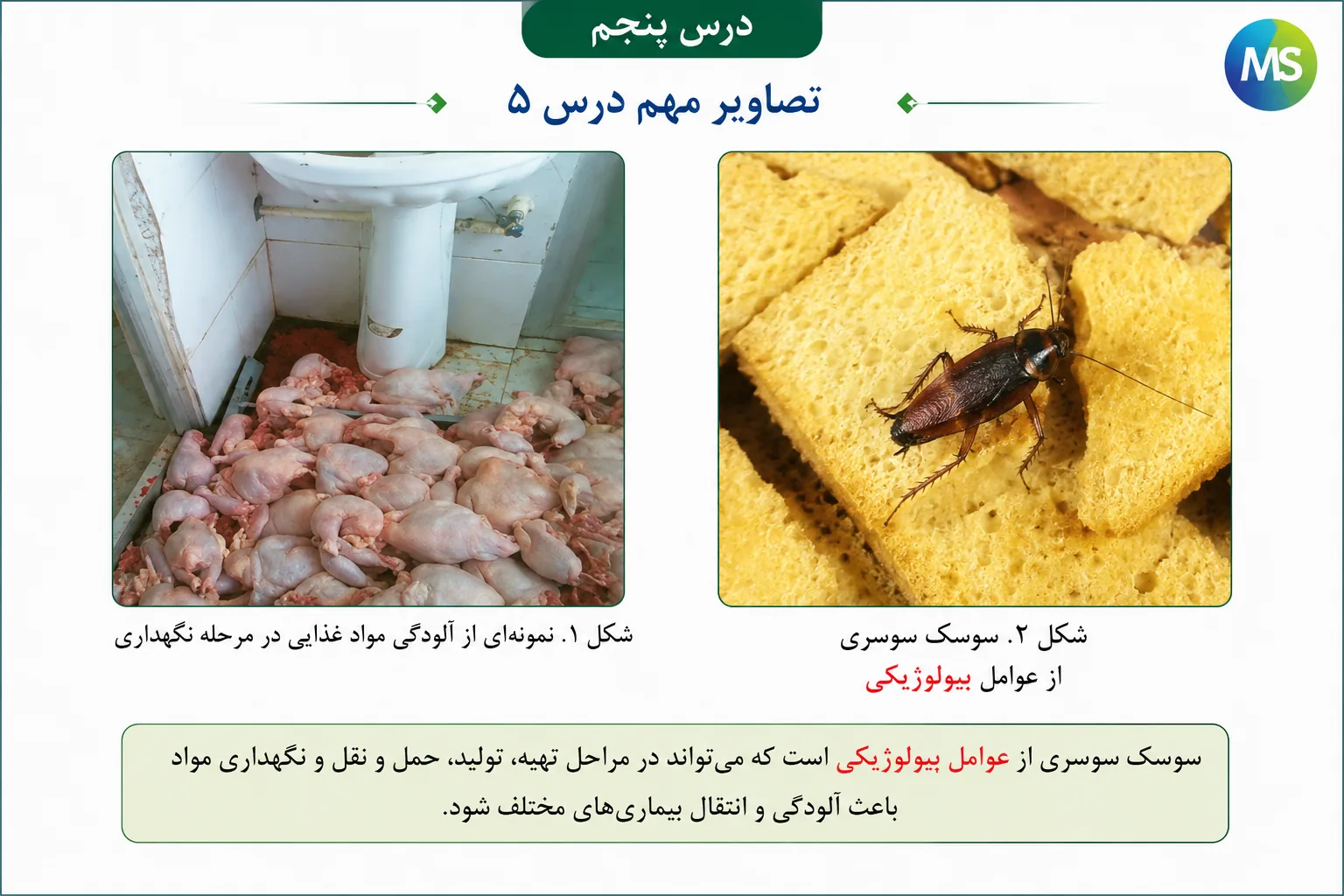 تصاویر مهم درس پنجم