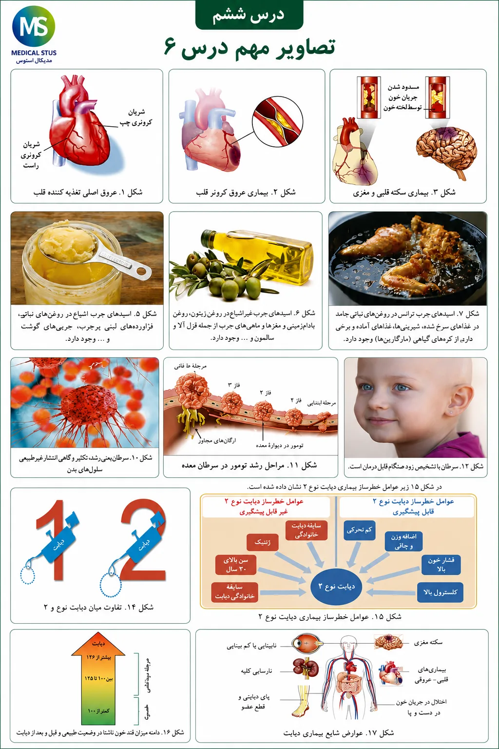 تصاویر مهم درس ۶