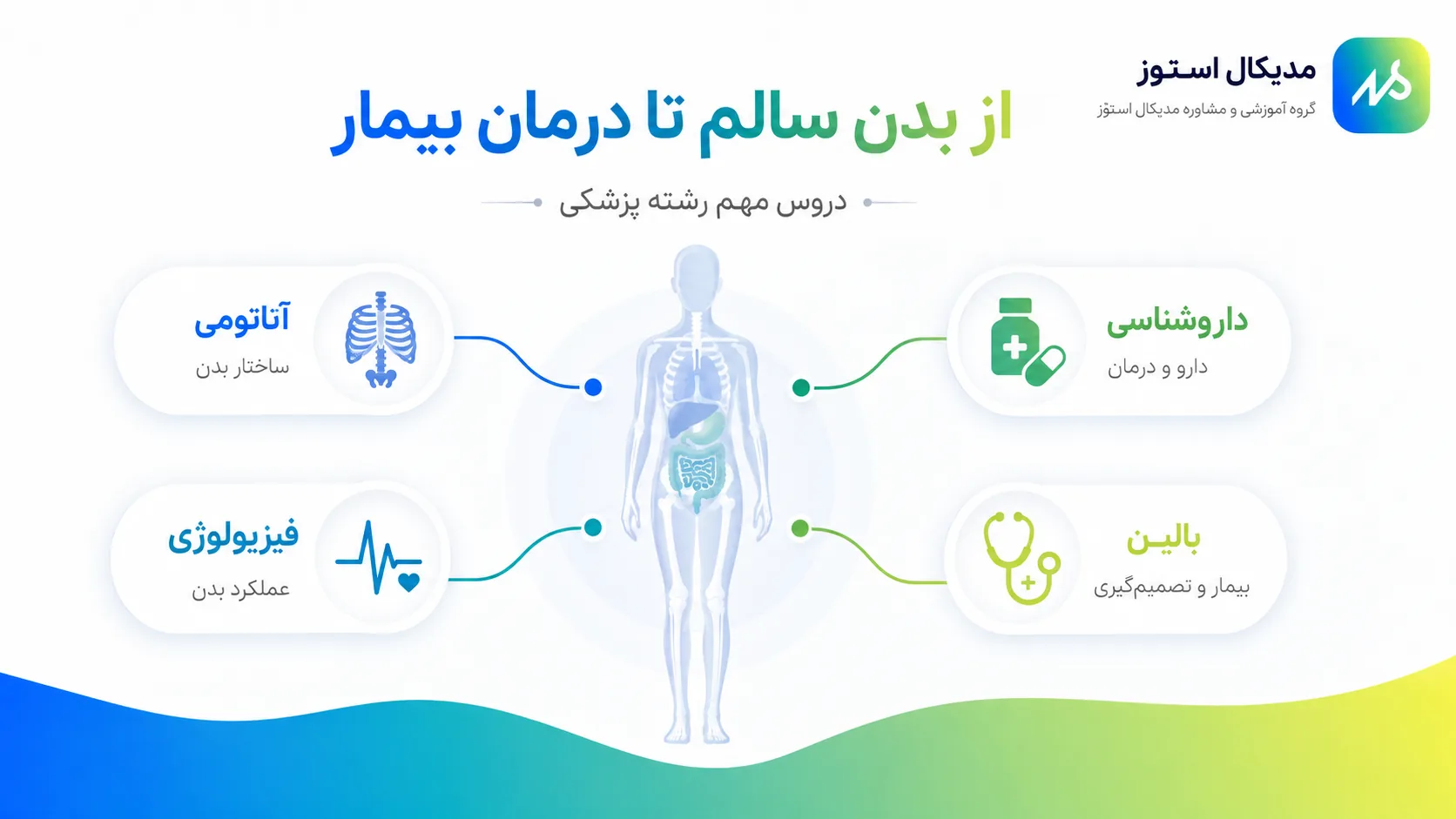 از بدن انسان تا رشته پزشکی 