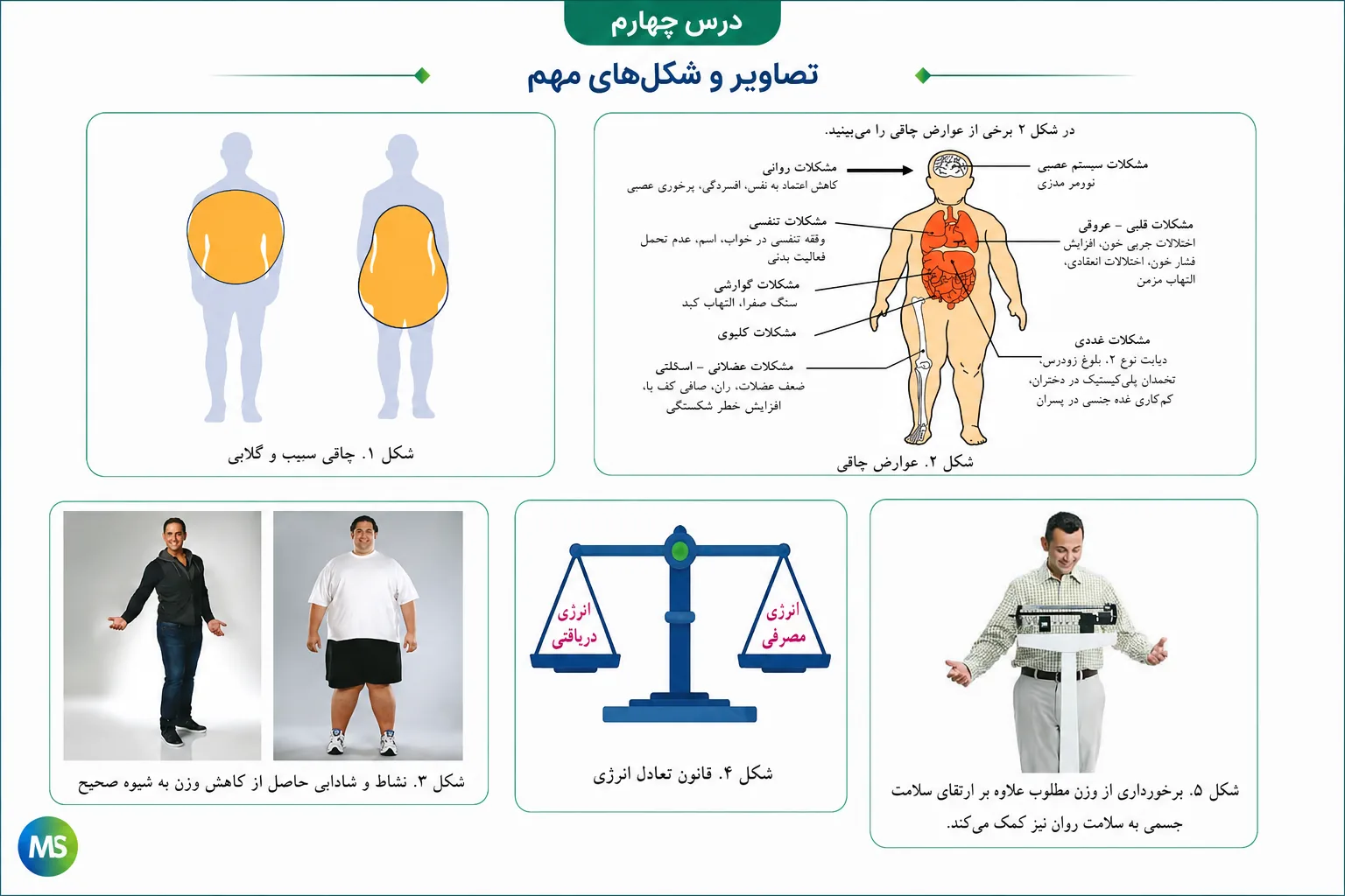 تصاویر مهم درس چهارم