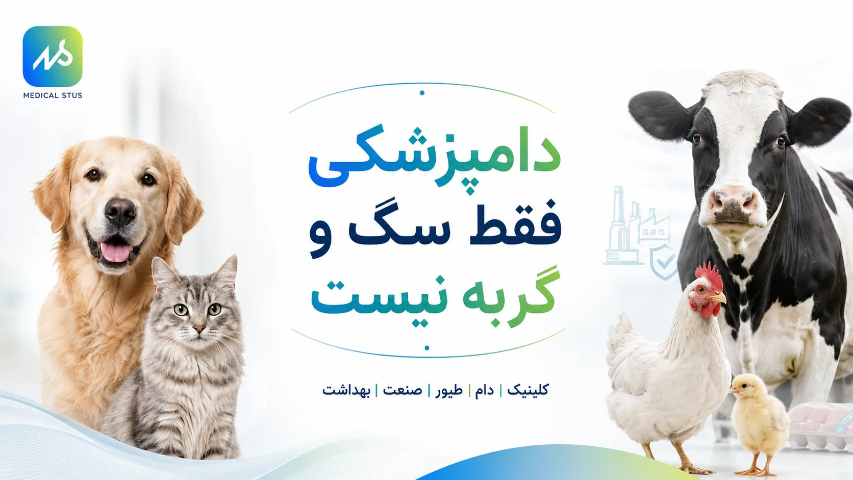 دام پزشکی چیست؟