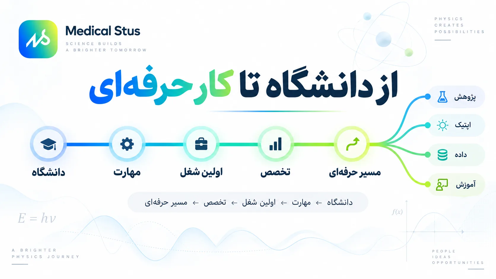 از دانشگاه تا کار حرفه ای