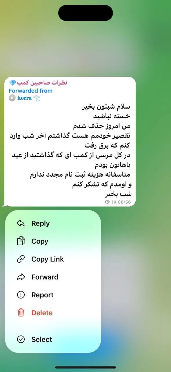 نظر