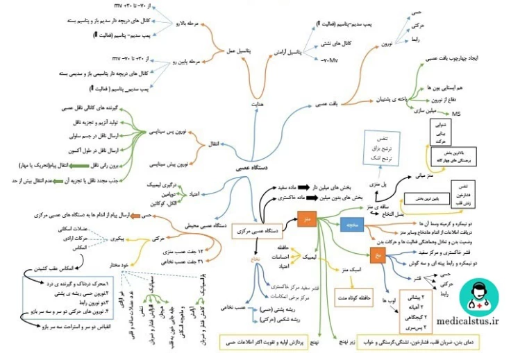 نمونه خلاصه نویسی زیست